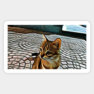 Lovely Adorable Painting Street Cat Sticker